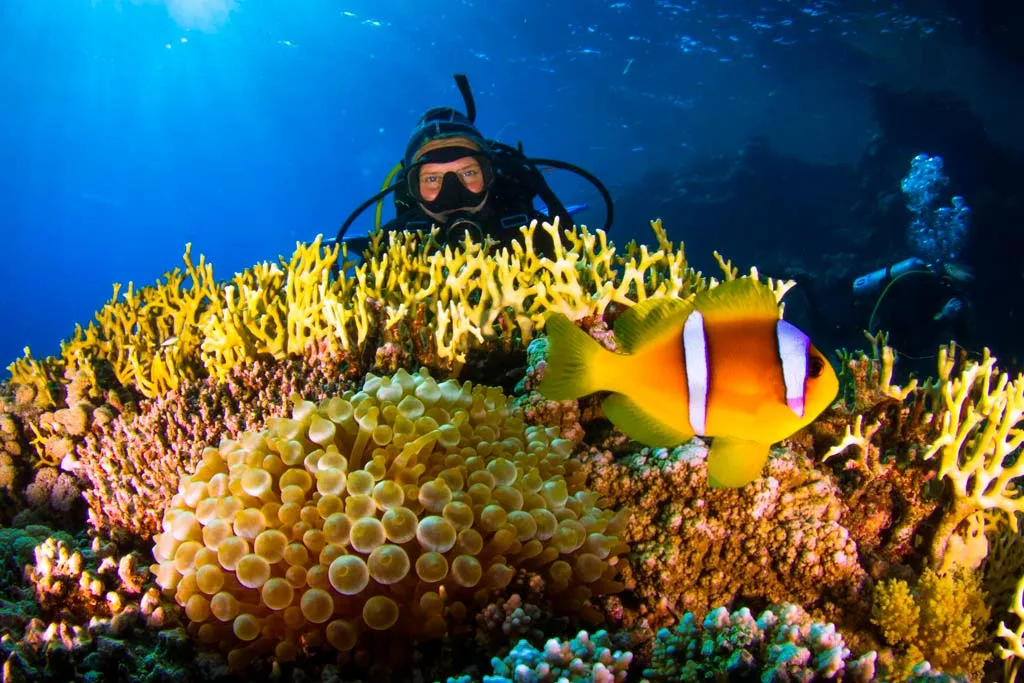 red-sea-diving-holidays-02