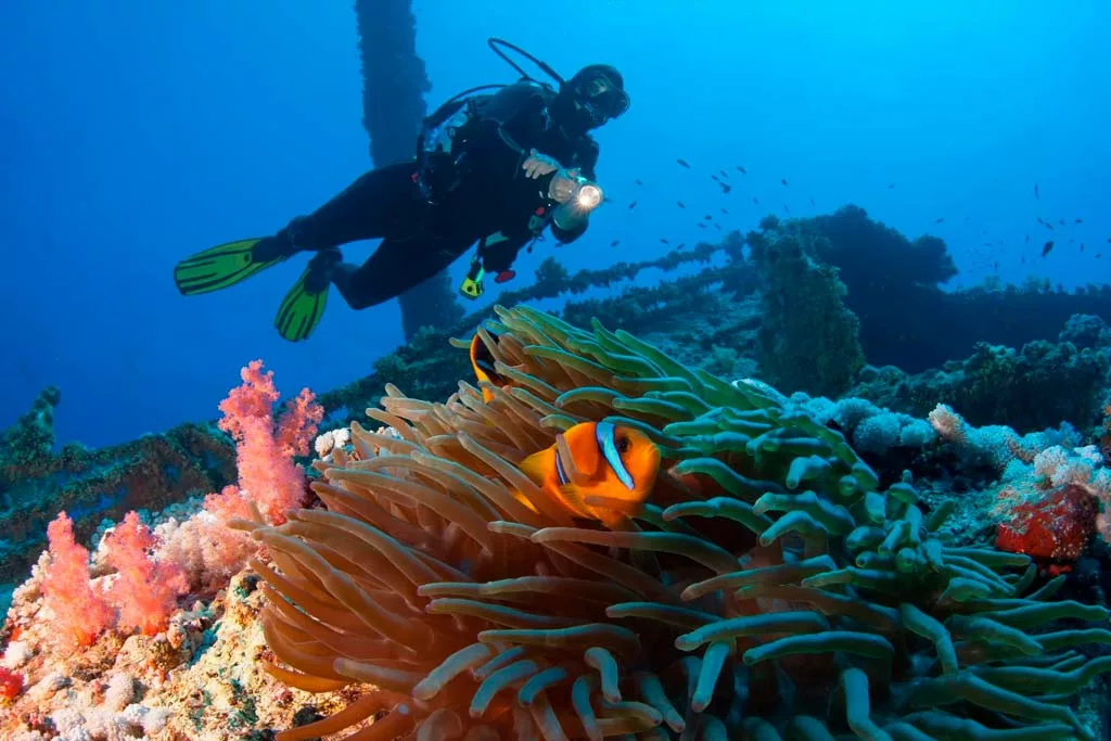 red-sea-diving-holidays-06